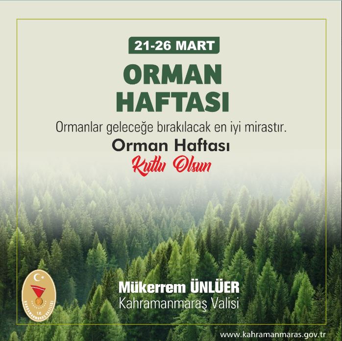 orman hafta 1