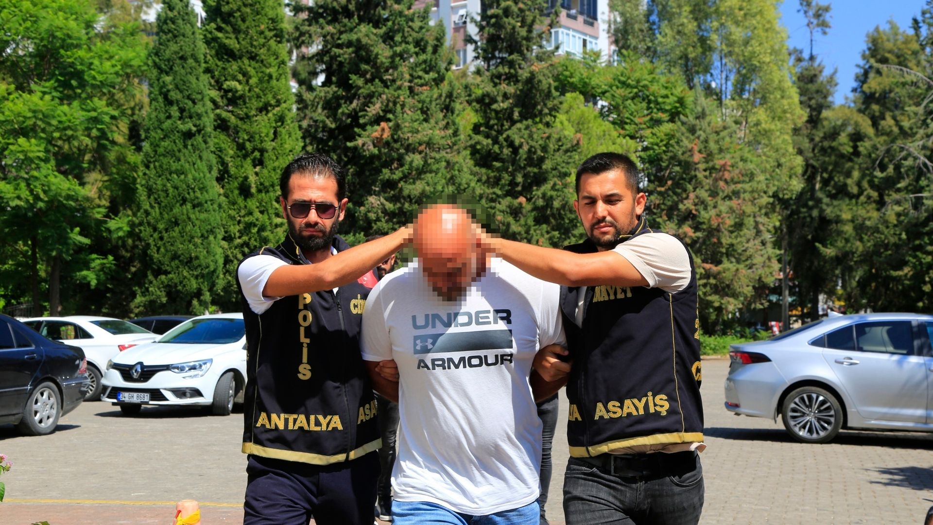 Ara Foto
