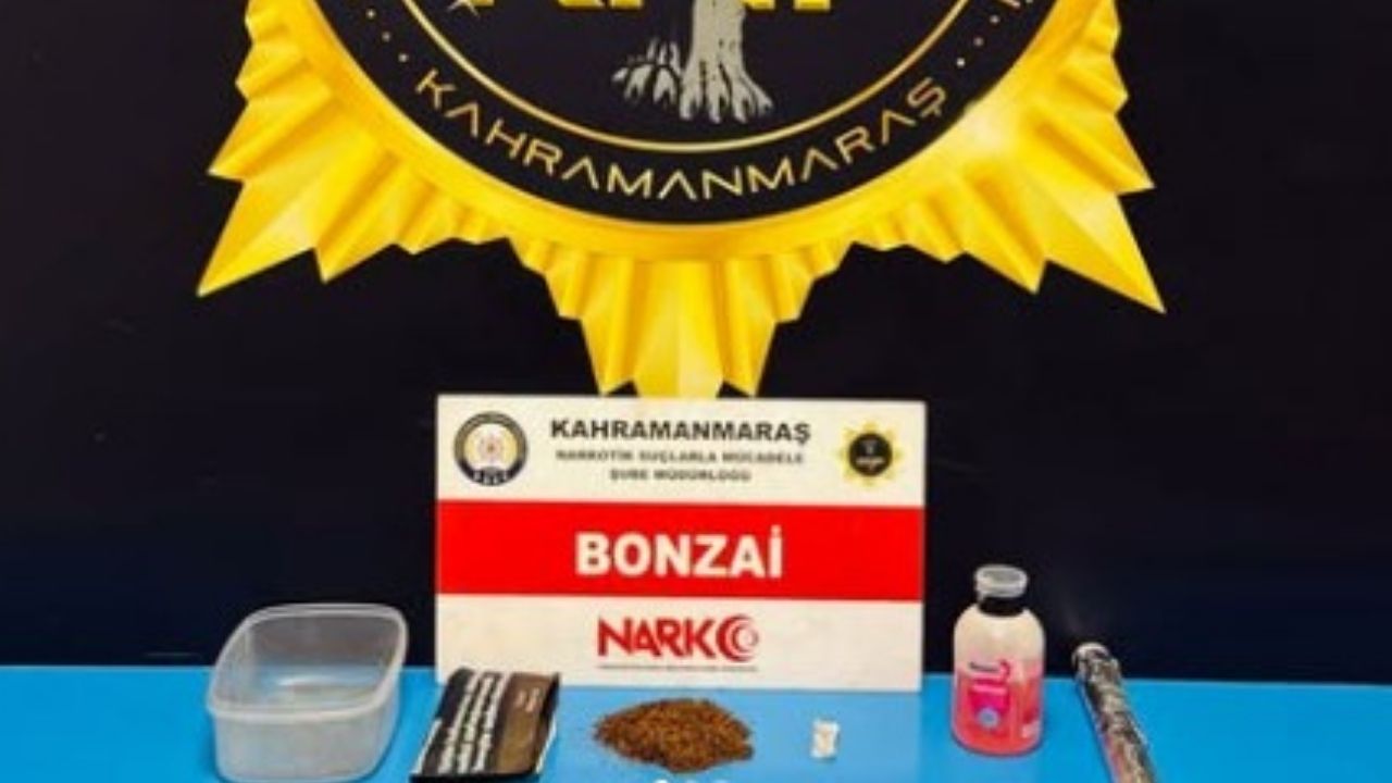 Bonzai