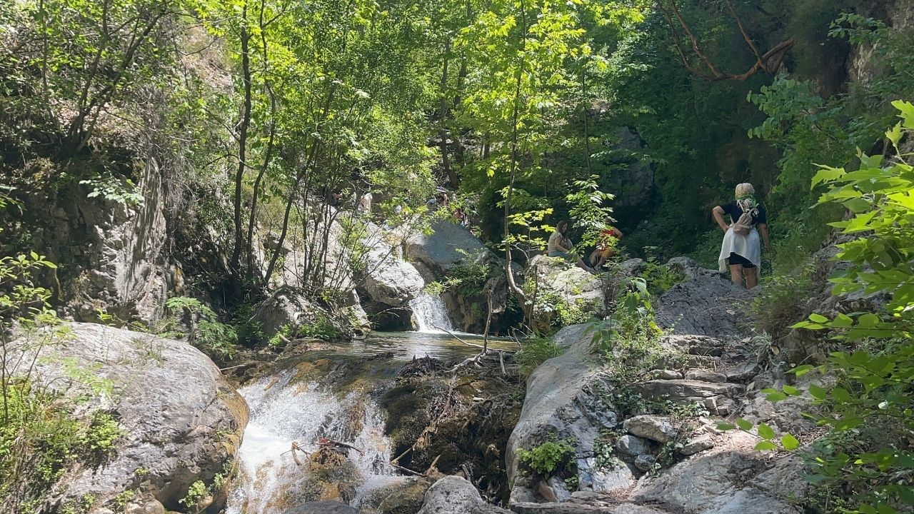 Selale Ara Foto 1