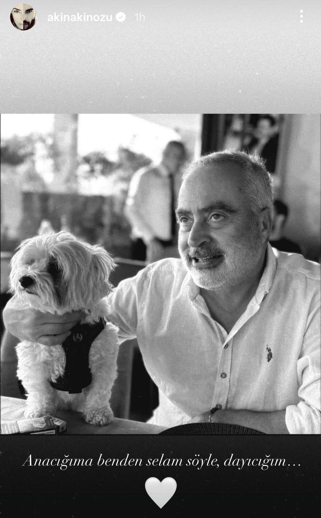 Akın Akınözü