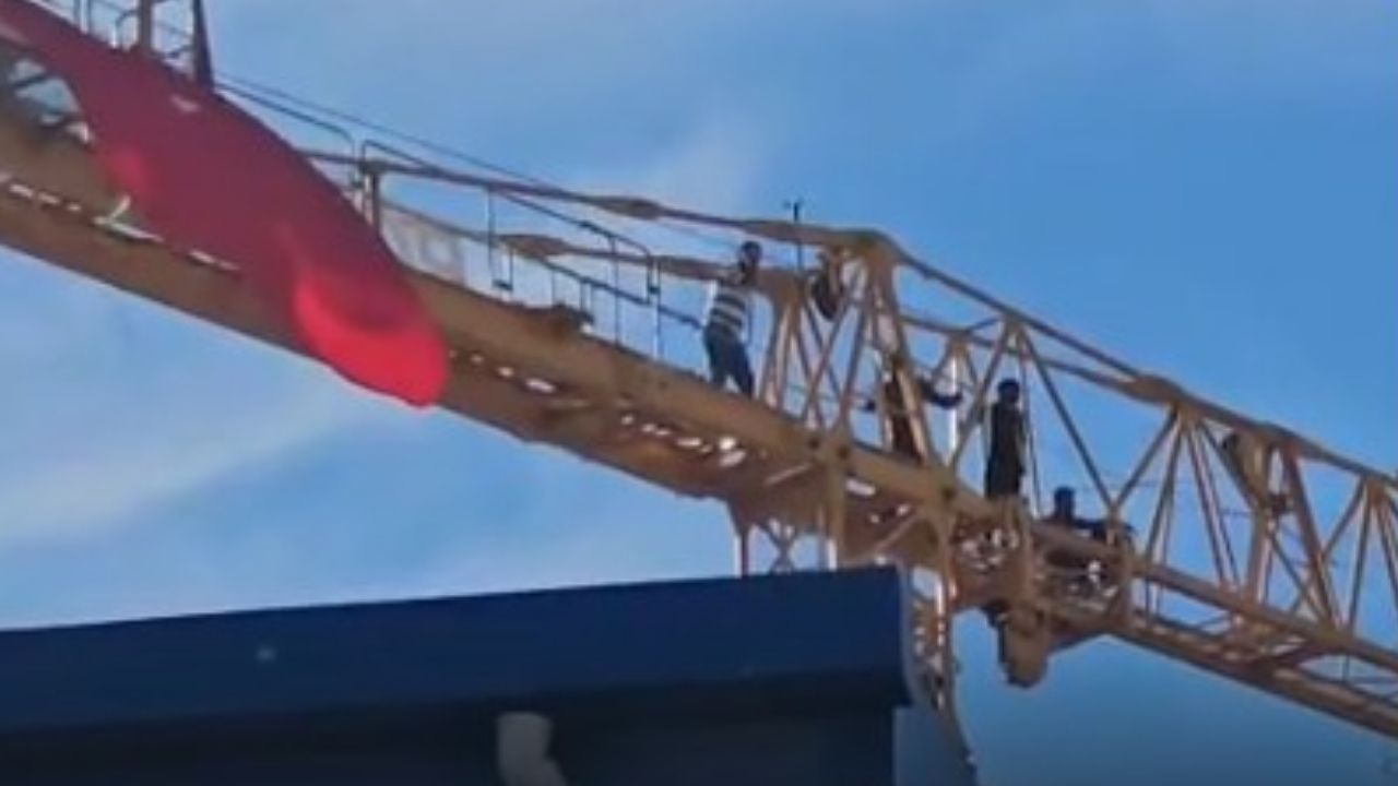 Deli Dana Hastalığı Nasıl Bulaşır Belirtileri Nelerdir (2)