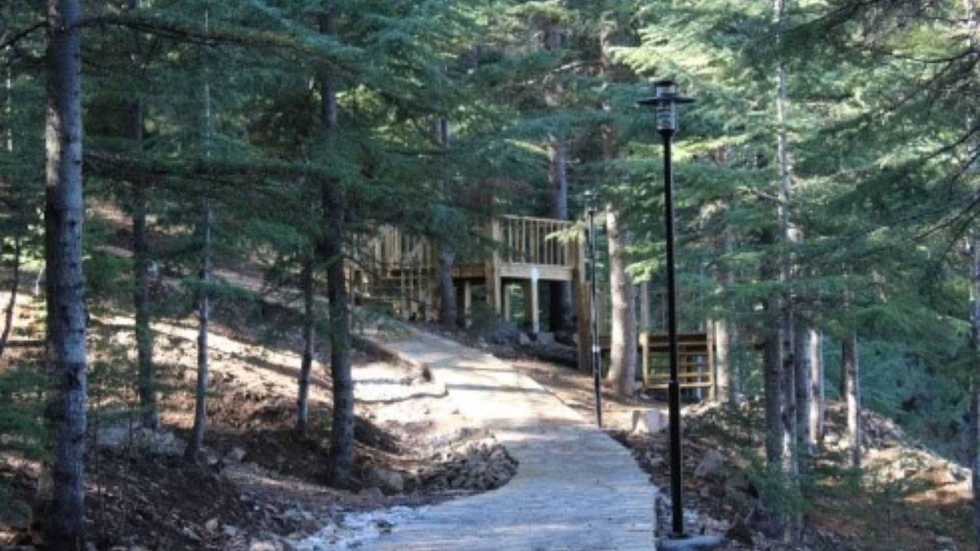 Kahramanmaraş Yavşan Yaylası Tabiat Parkı Doğal Güzellikleriyle Dikkat Çekiyor (2)