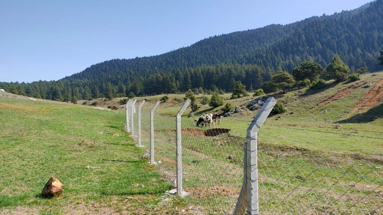 Sersem Yaylası (2)