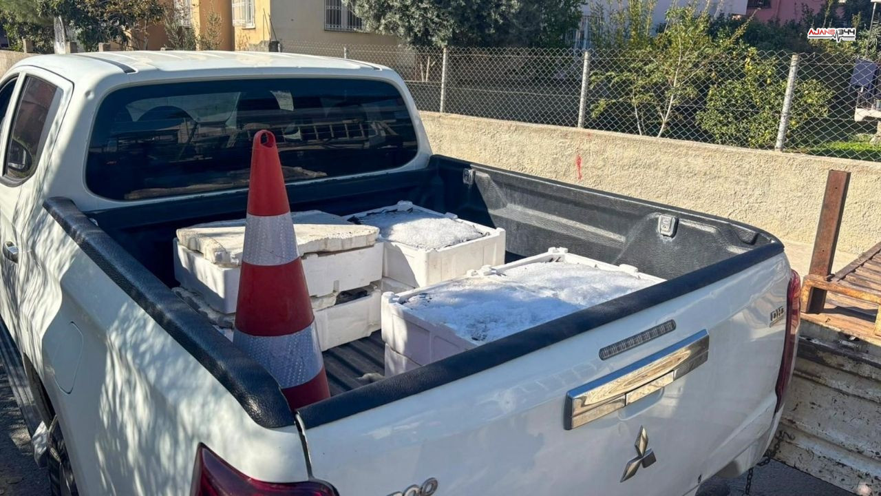 250 Kilo Kaçak Kaçak Balık Bulundu Ajans344 (1)