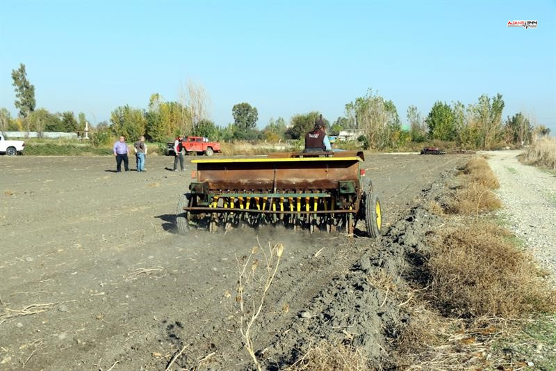 Adana’da 480 Dekar Mera Işgalden Kurtarıldı, Yem Bitkisi Ekimi Yapıldı (1)