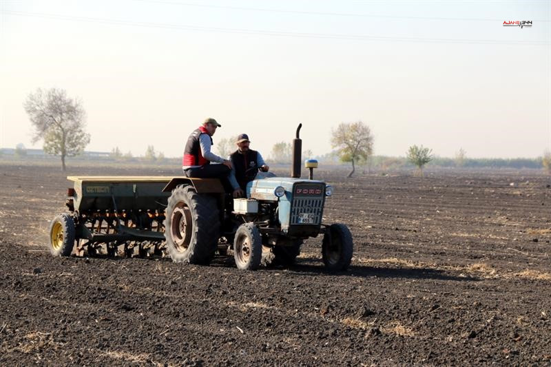 Adana’da 480 Dekar Mera Işgalden Kurtarıldı, Yem Bitkisi Ekimi Yapıldı (3)