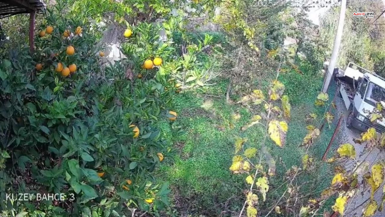 Aracı Geri Vitesde Unutan Sürücü Faciaya Yol Açtı Ajasns344 (3)