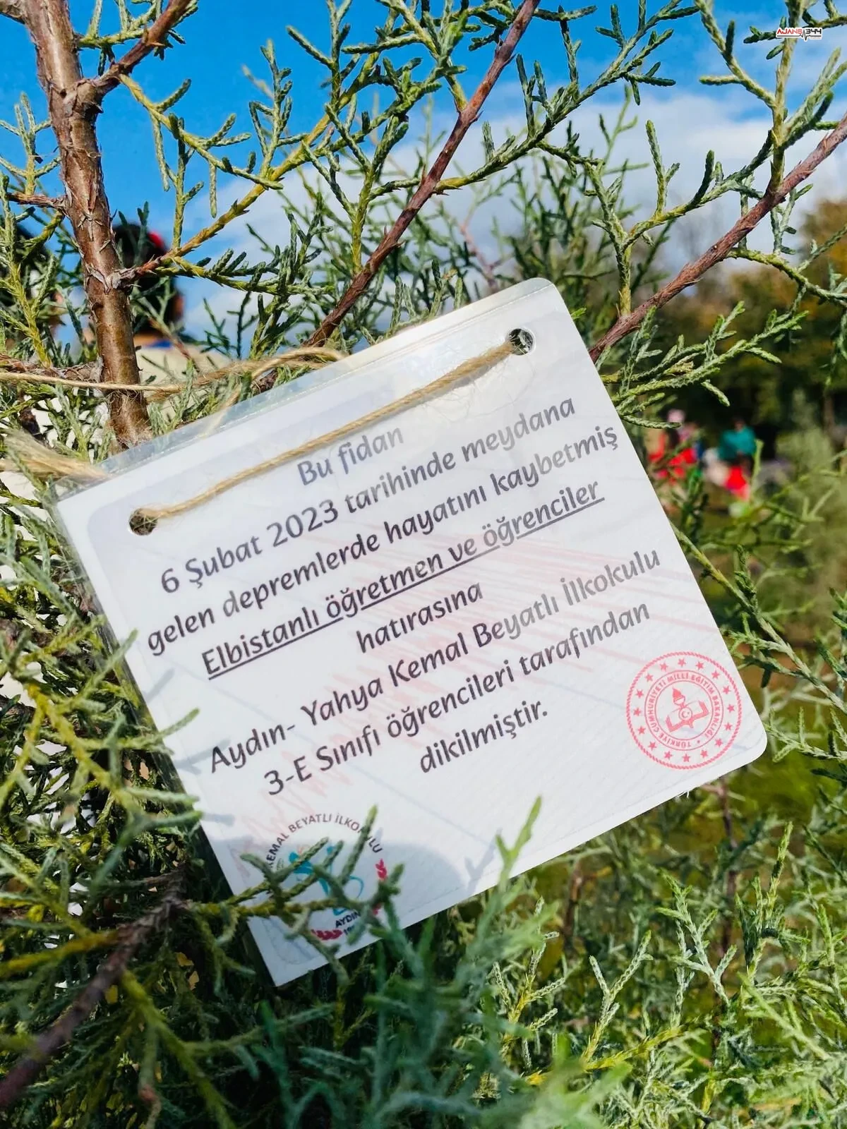 Aydinli Miniklerden Kahramanmaras Elbistana Gonul Koprusu 3