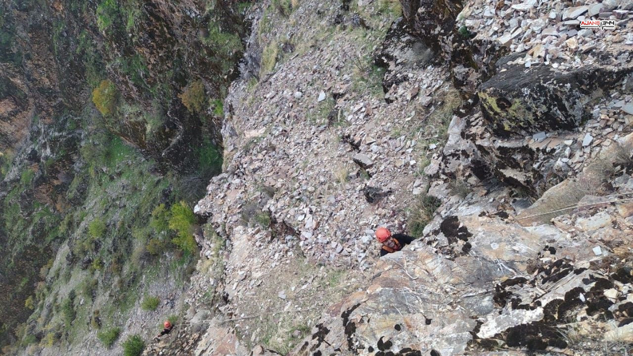 Dagda Mahsur Kalan Keçiler Kurtarıldı Ajans344