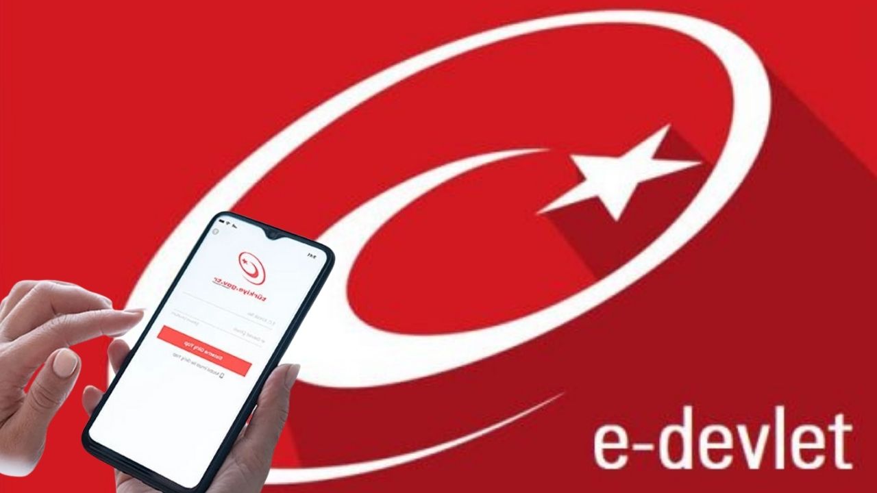 E Devlet Çöktü Mü (1)