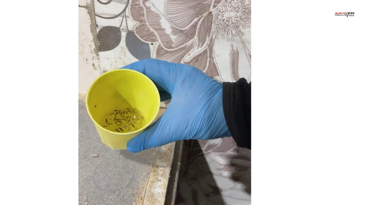 Fırın Denetimleri Ajans344 (1)