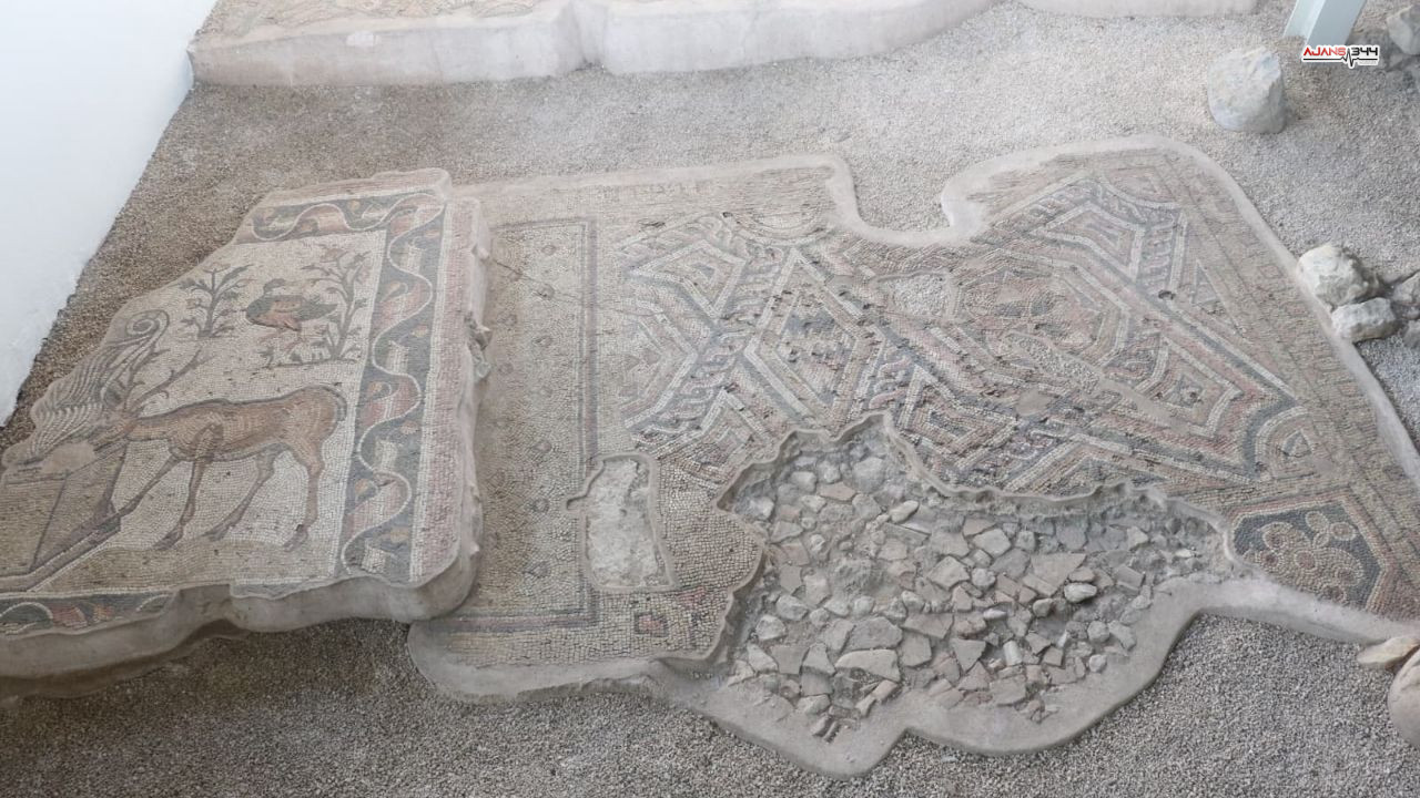 Germenica Antik Kenti Gezi Ajans344 (4)