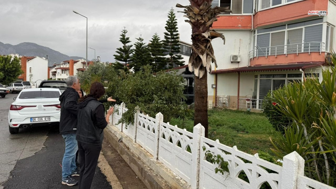 Hortum Vuran Yerler Görüntülendi Ajns344 (2)