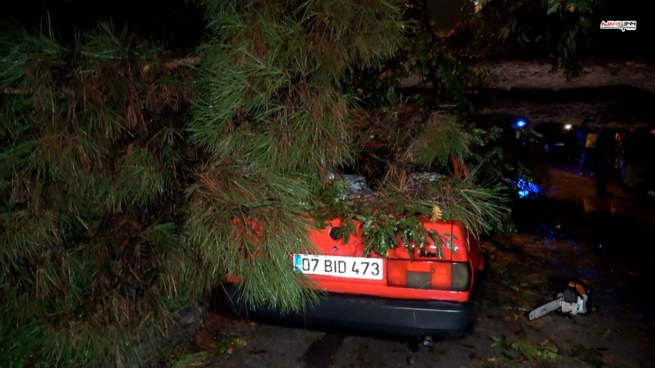 Kafe Ve Restoranlarda Yasaklanıyor! Ticaret Bakanlığı'ndan Karar (3)