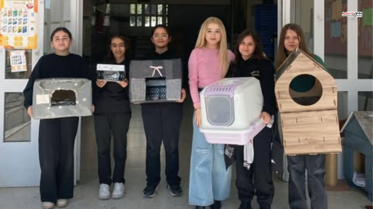 Kedi Evi 500 Tane Ajans 344 (1)