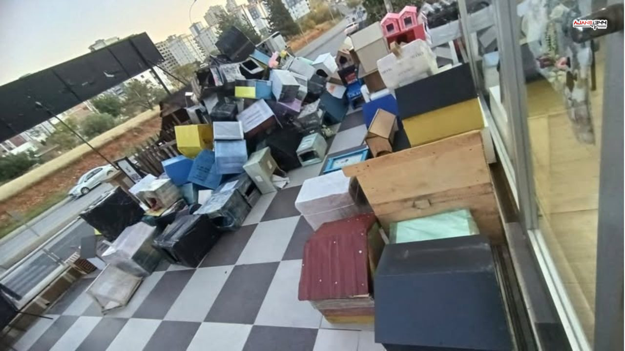 Kedi Evi 500 Tane Ajans 344 (3)