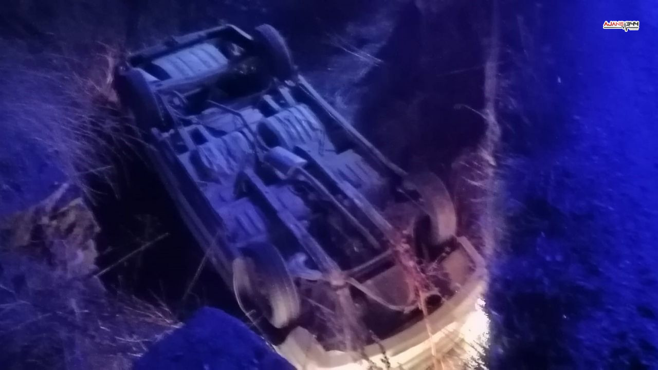 Köpege Çarpmamak Için Kanala Uçtu Ajans344