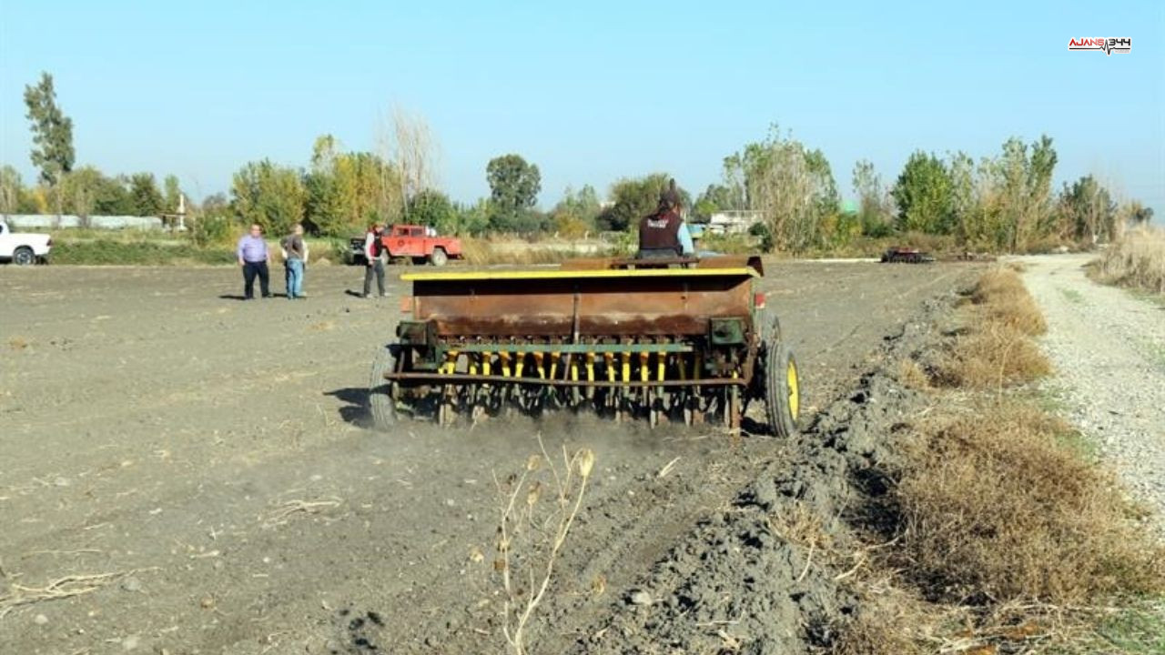 Mera Alanları Kurtarılıyor Ajans344