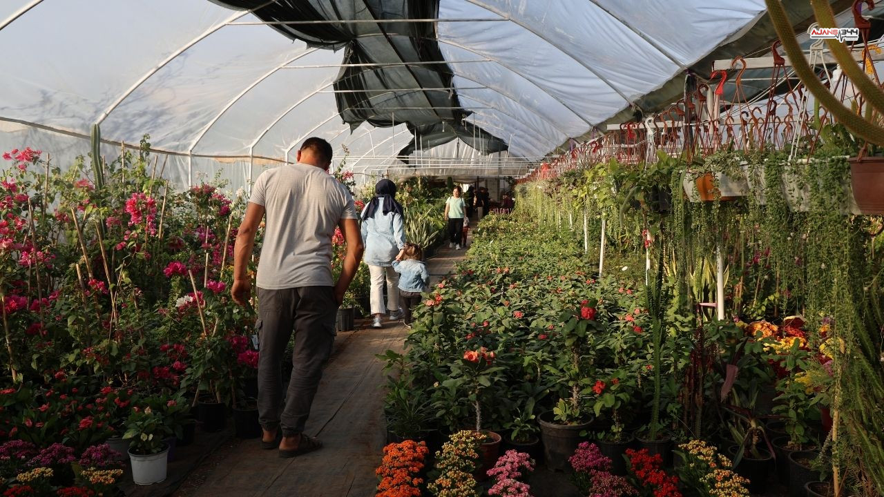 Ögretmenler Günü Buket Yerine Saksı Tercih Ajans344 (2)