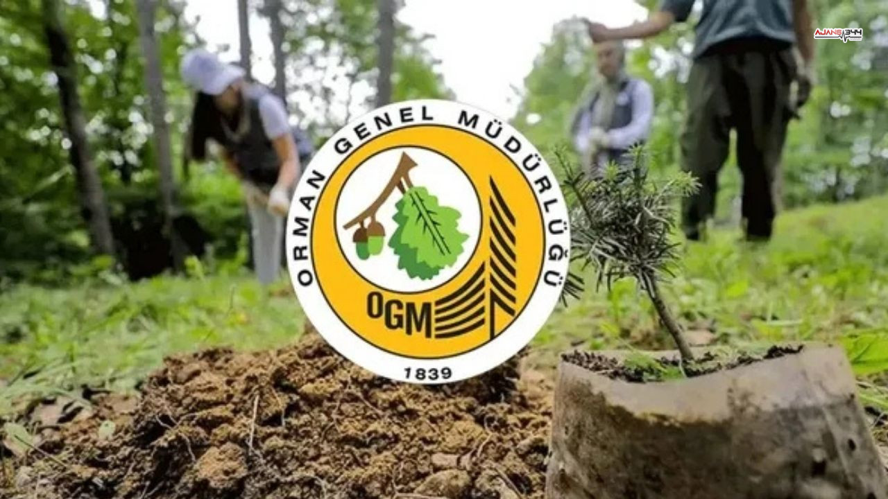 Orman Bölge Müdürlüğü Ajans344 (2)