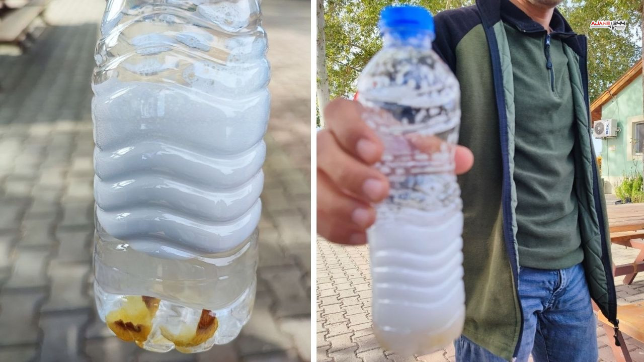 Sabun Niyetine Ceviz Ajans344 (1)