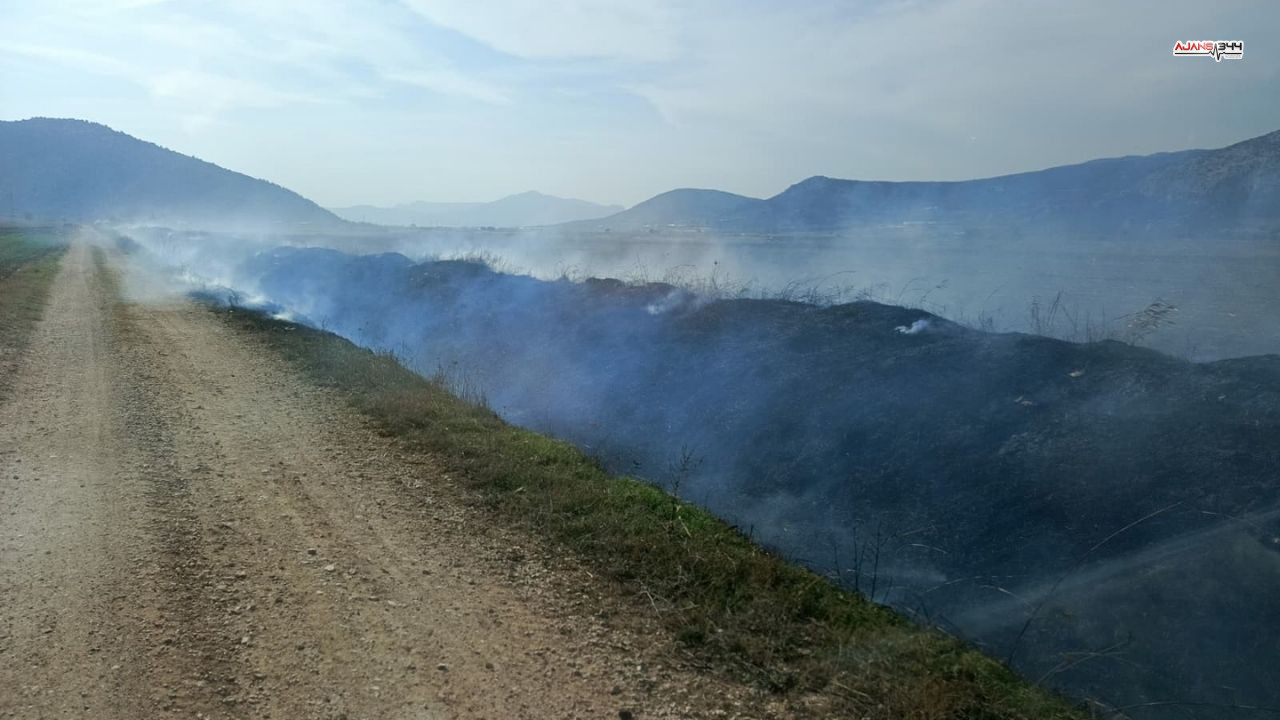 Sazlık Alanda Yangın Çıkı Ajans344 (1)