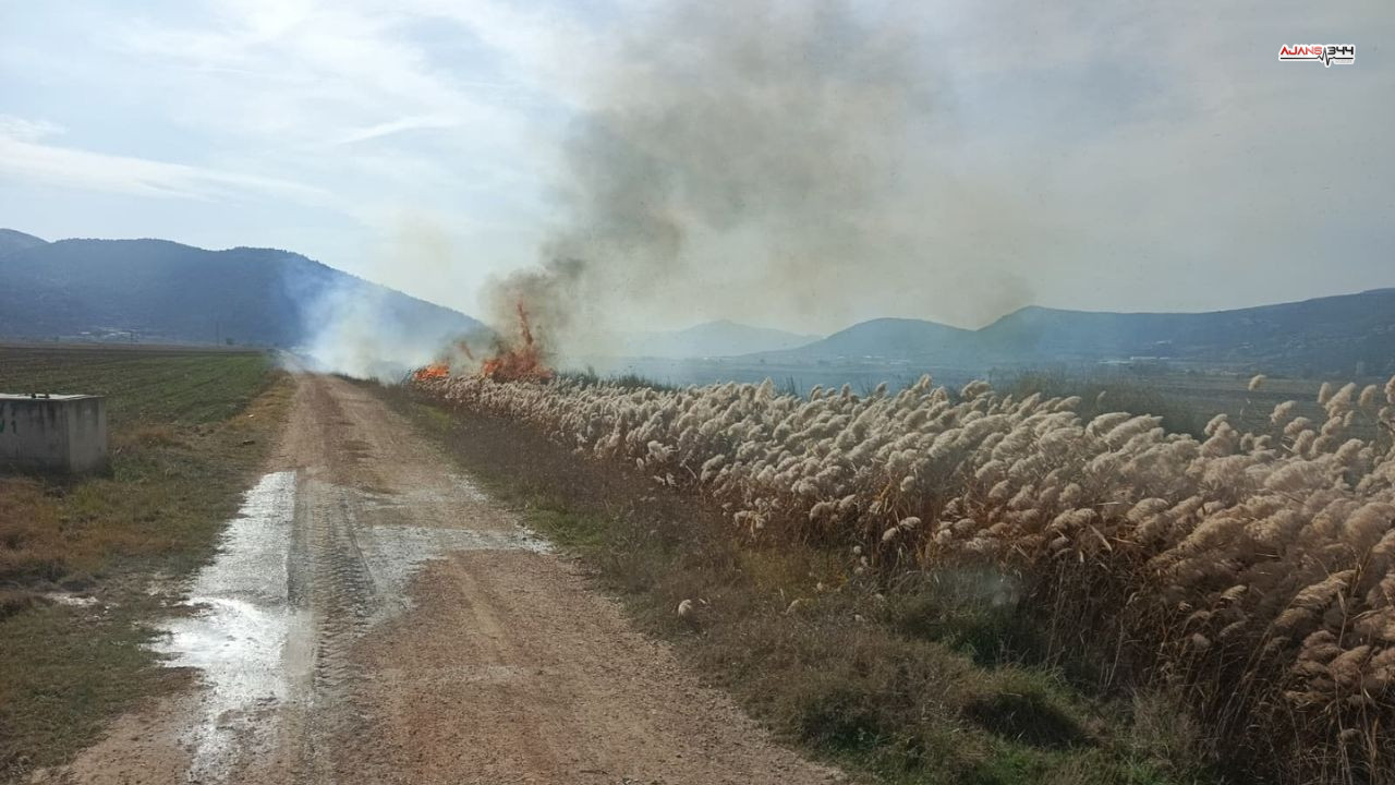 Sazlık Alanda Yangın Çıkı Ajans344 (2)