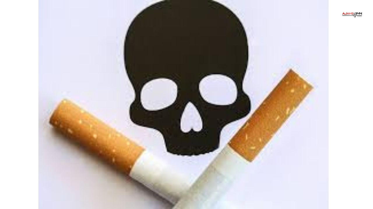 Sigara Kanser Zarar Ajasn344 (2)