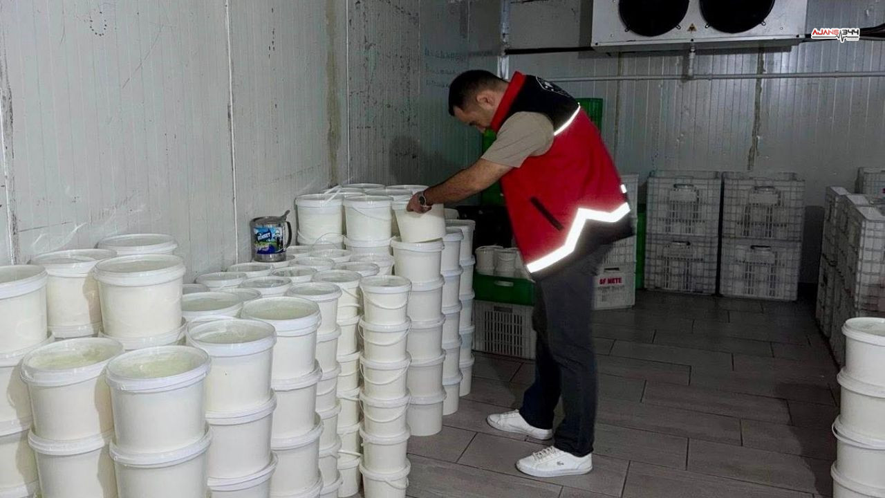 Yogurt Imha Peynir Ajans344