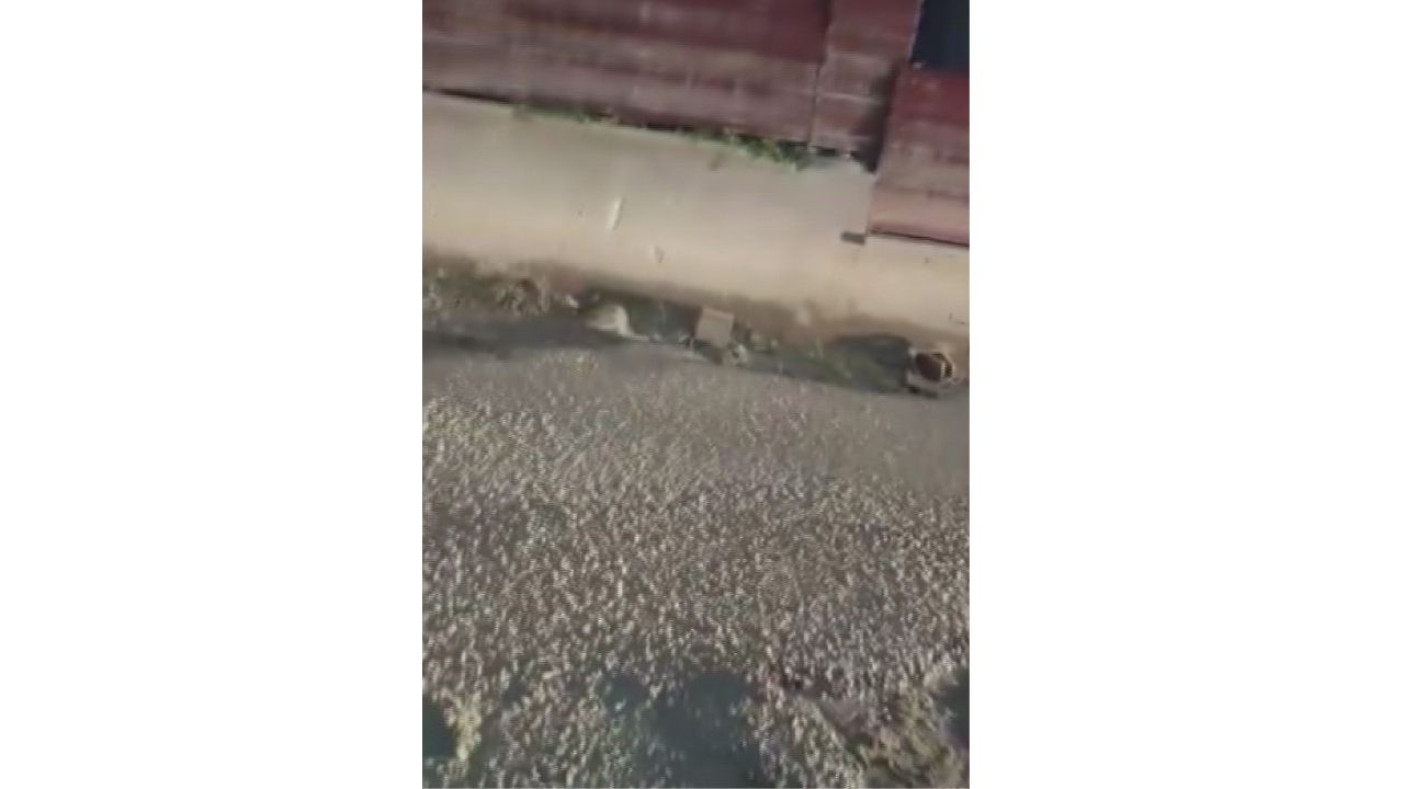 Yola Beton Döktü, Benim Firmam Zengin, Cezamızı Öderiz Dedi Ajans344 (1)