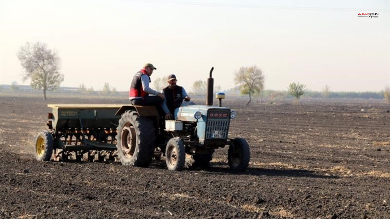 Zehirli Pizza Faciası 1 Ölü, 3 Yaralı (1)