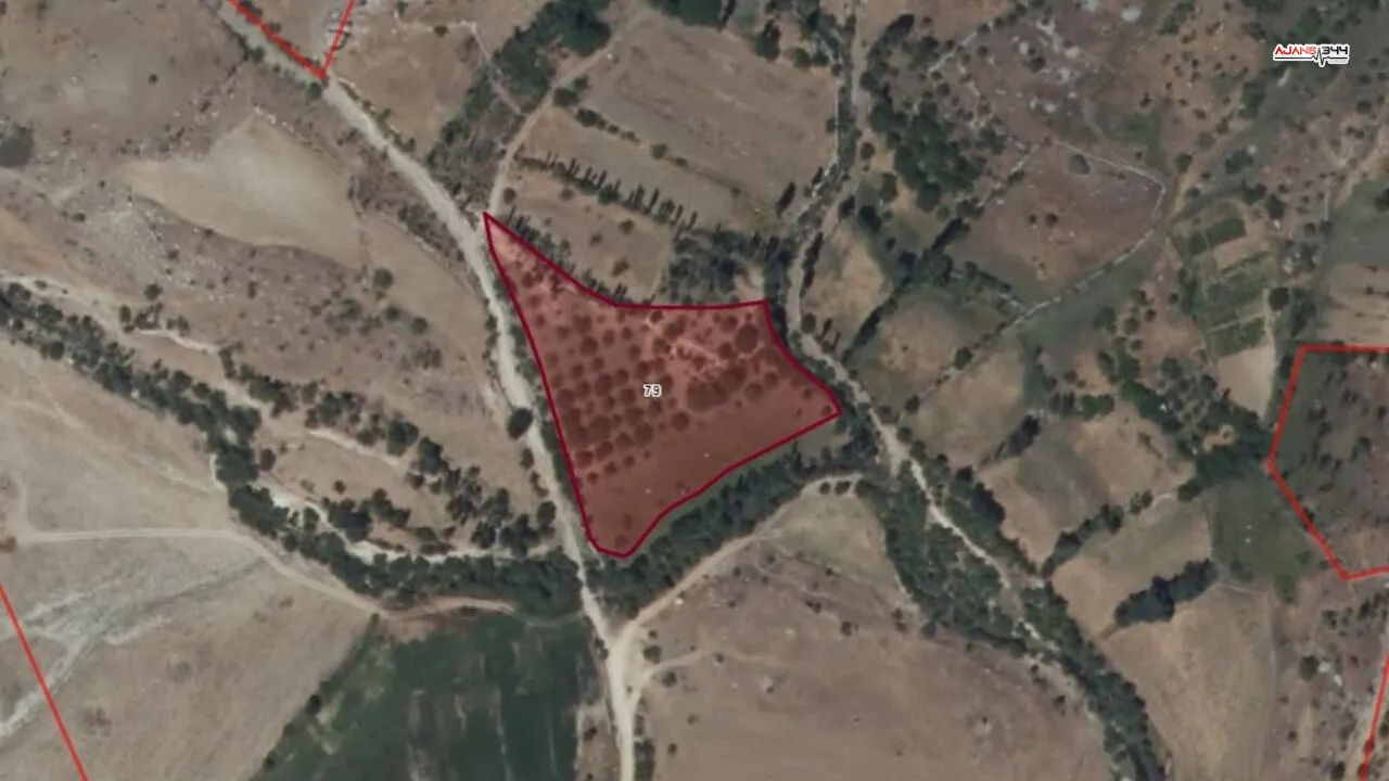 4 Ayrı Tasınmaz Satısta Ajans344 (1)