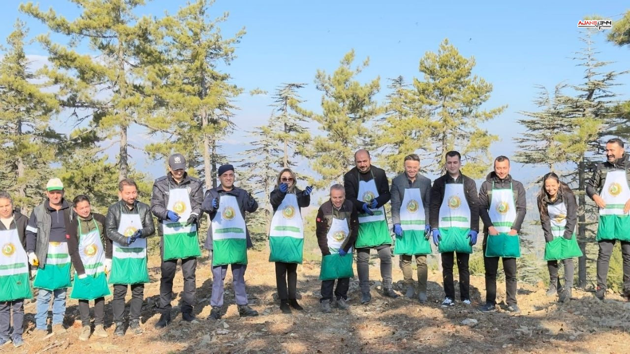 50 Ton Sedir Tohumu Ekildi Ajans344 (2)