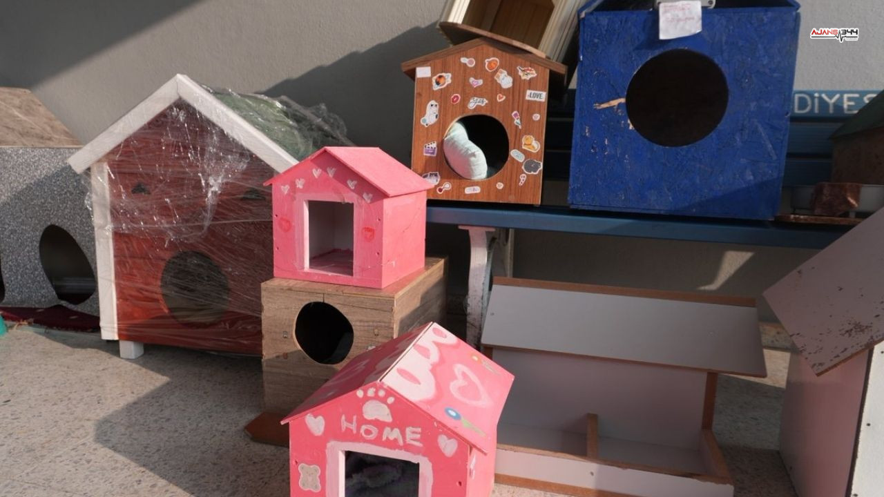 500 Tane Kedi Klübesi Yapıldı Ajans344 (2)