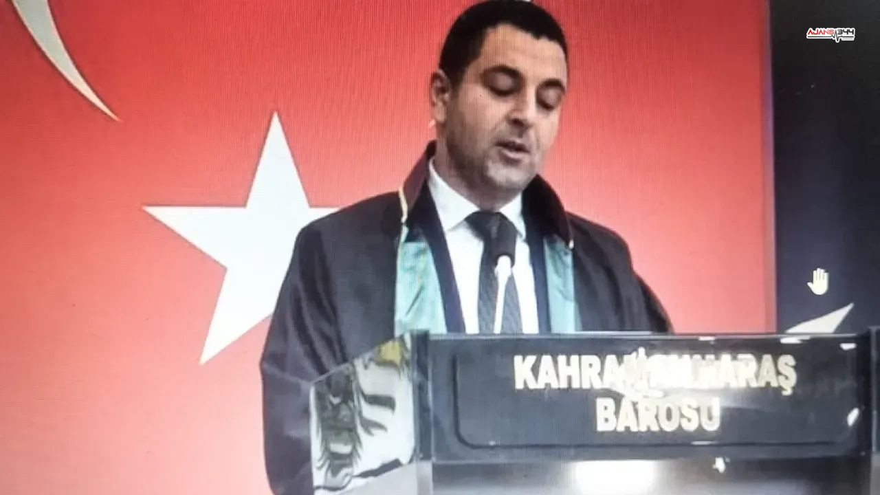 500 Tane Kedi Klübesi Yapıldı Ajans344 (4)