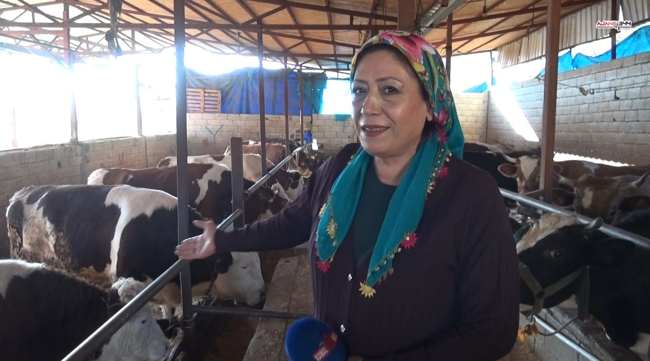 62538939 4411 47Fc 8971 B88E0Bc52A15