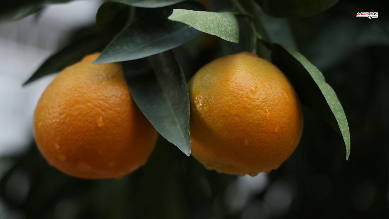 Beklenen Yagmur Yagdı Ajasn344 (2)