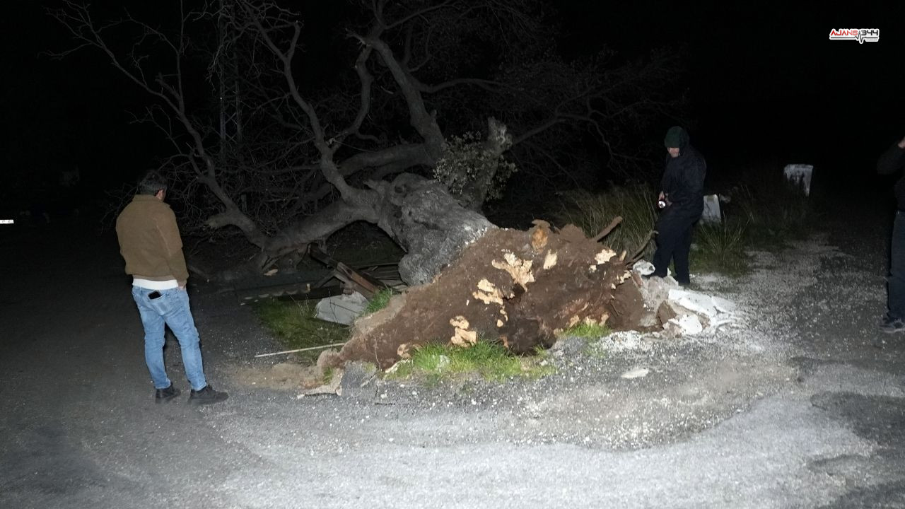 Çöken Çatılar Ajans344 (2)