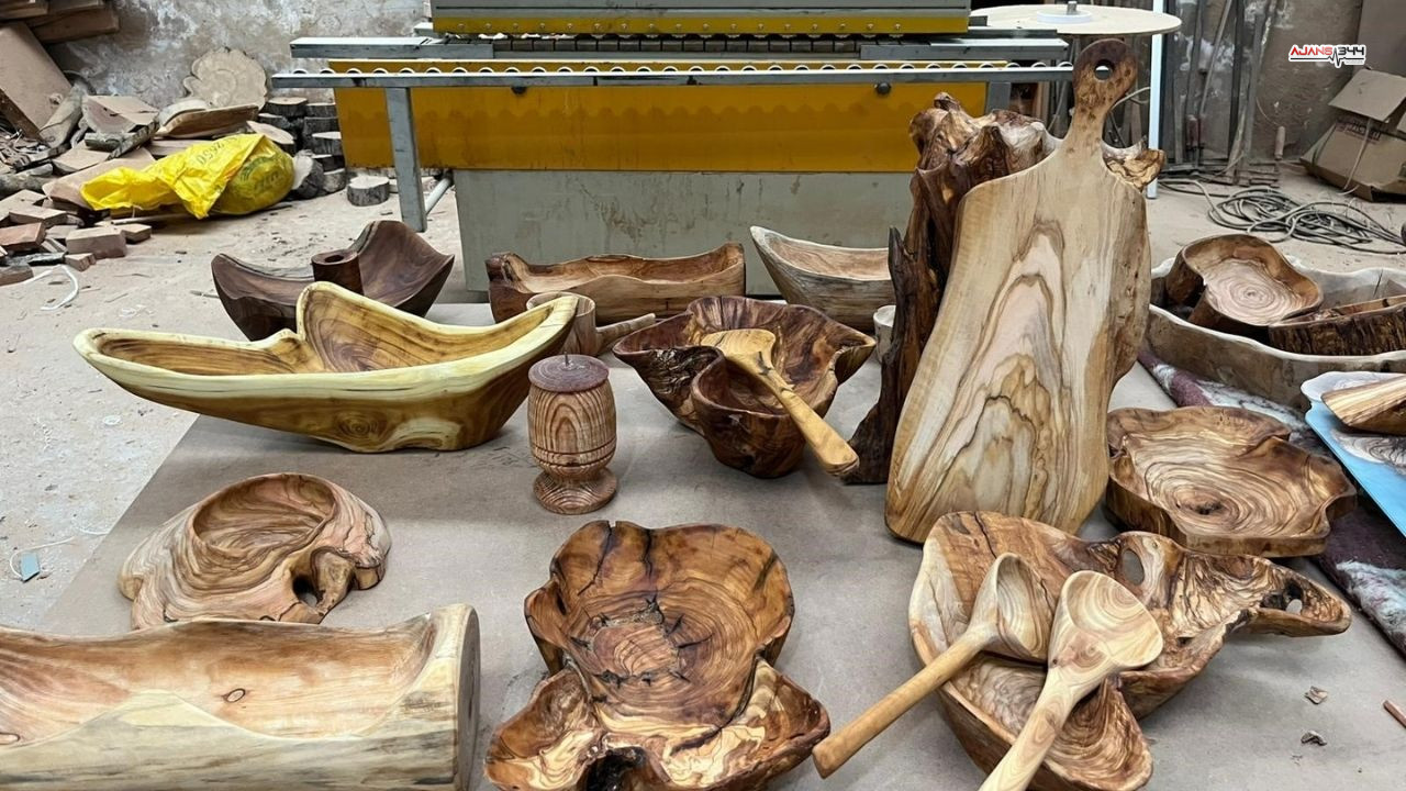 Çürüyen Zeytin Agaçları Ajans344 (3)