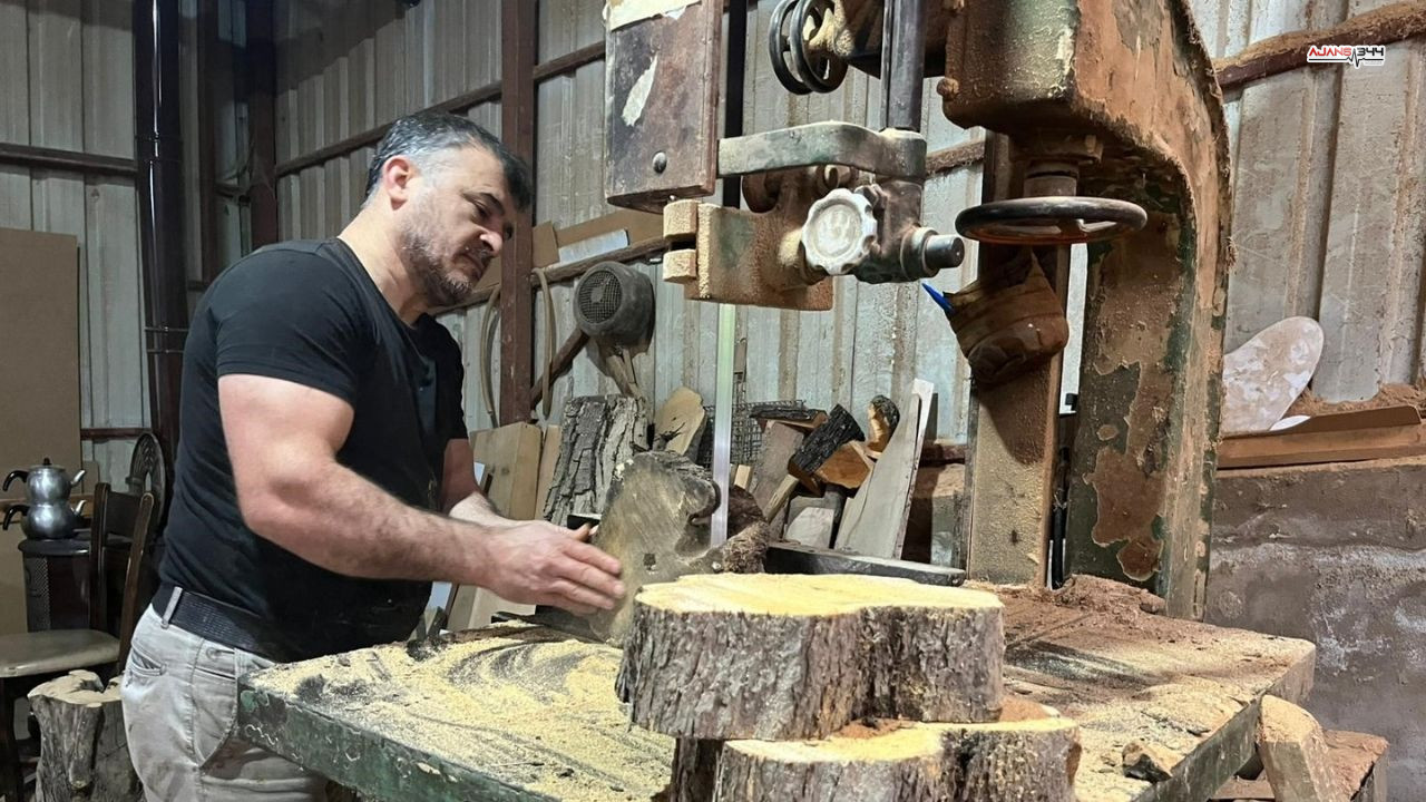 Çürüyen Zeytin Agaçları Ajans344