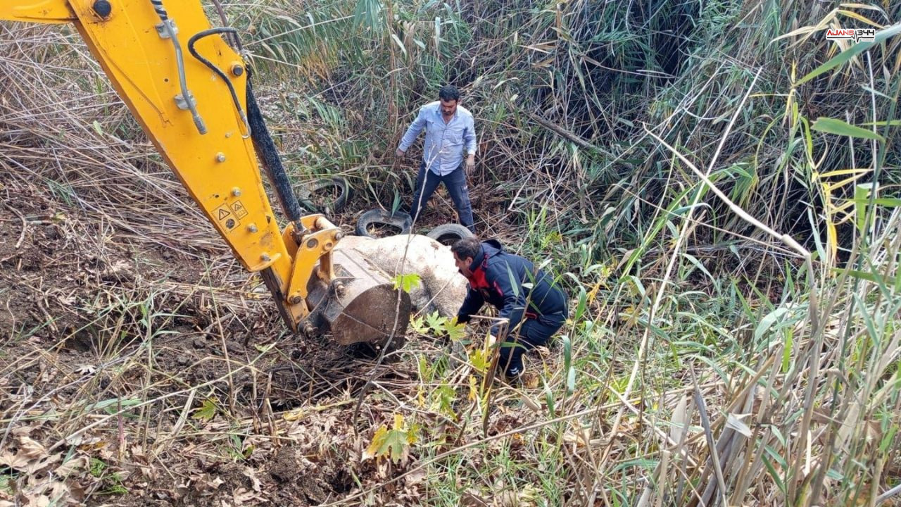 Dereye Düsen Inek Kurtarıldı Ajans344 (2)