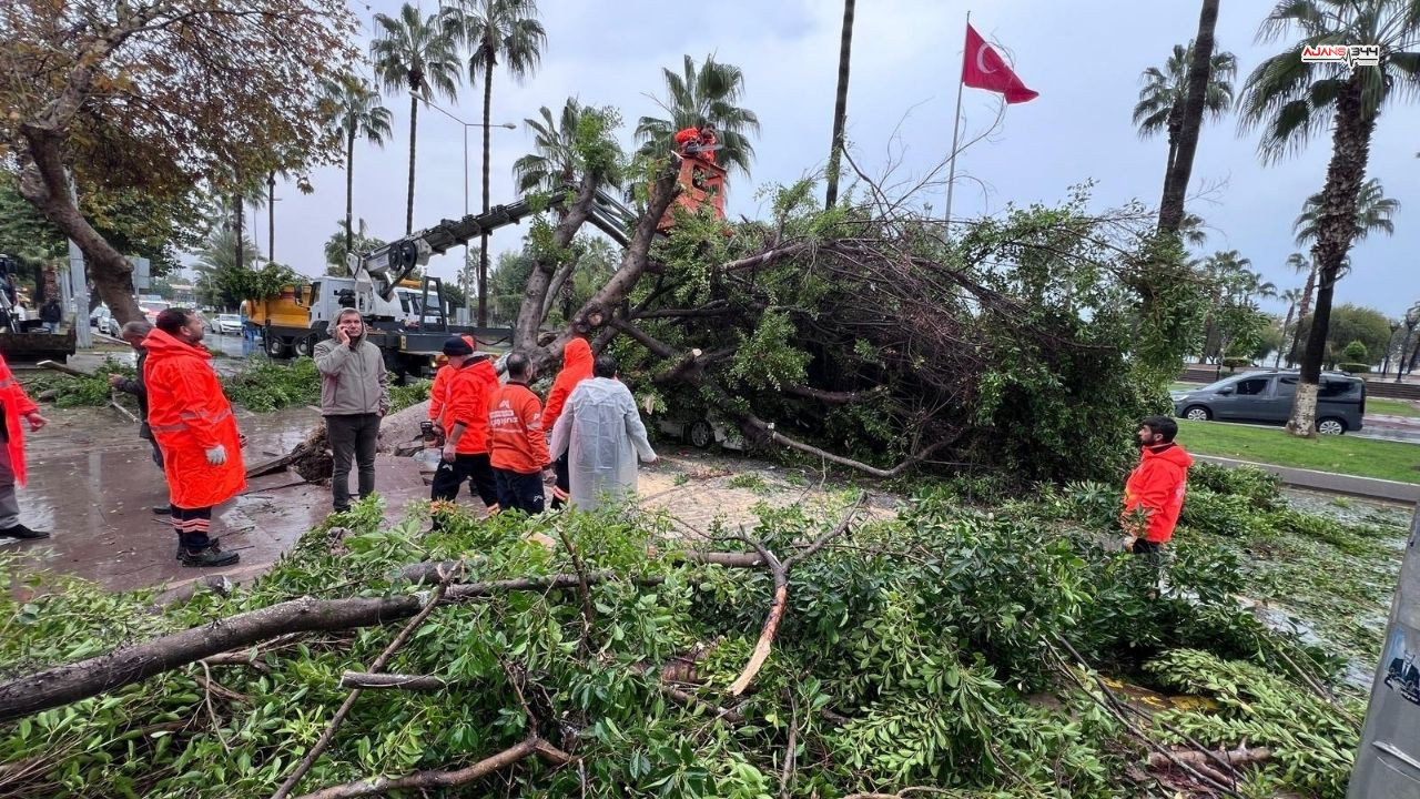 Devrilen Agaçlar Ajans344 (3)