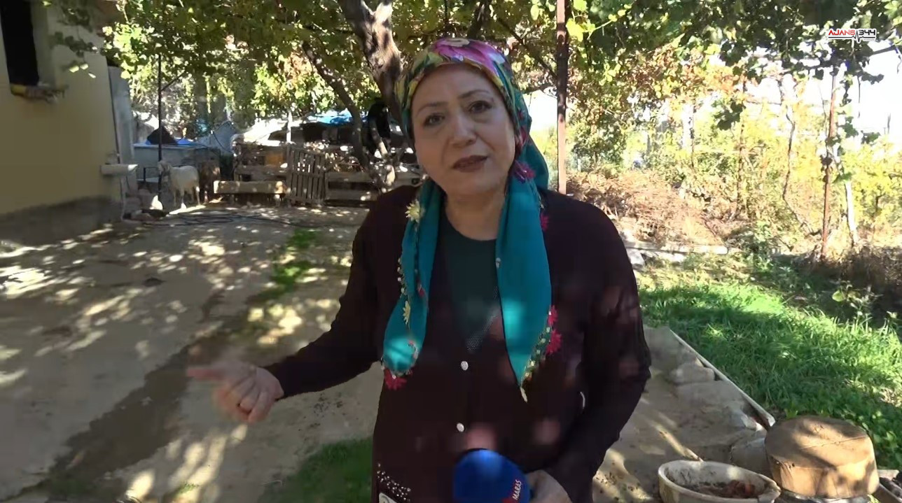 E2D3328A A067 454F 8F42 78D6610Aa123