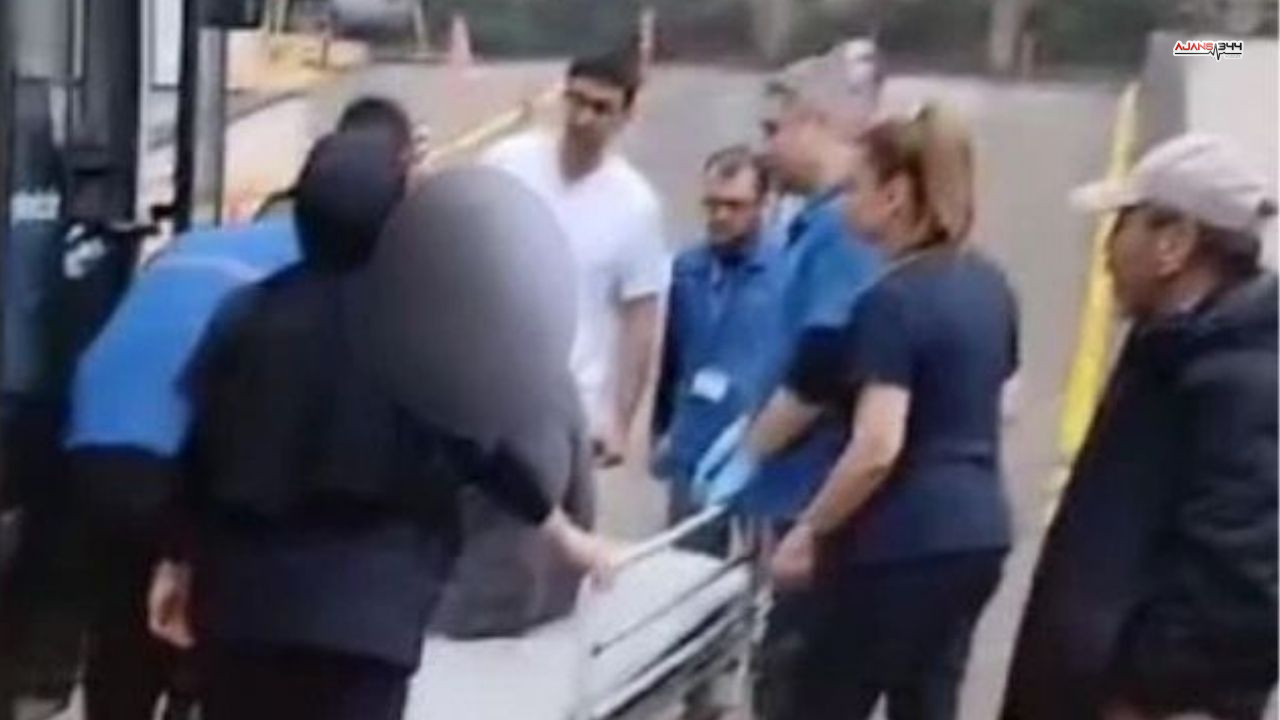 Fenalasan Hasta Ajasn344