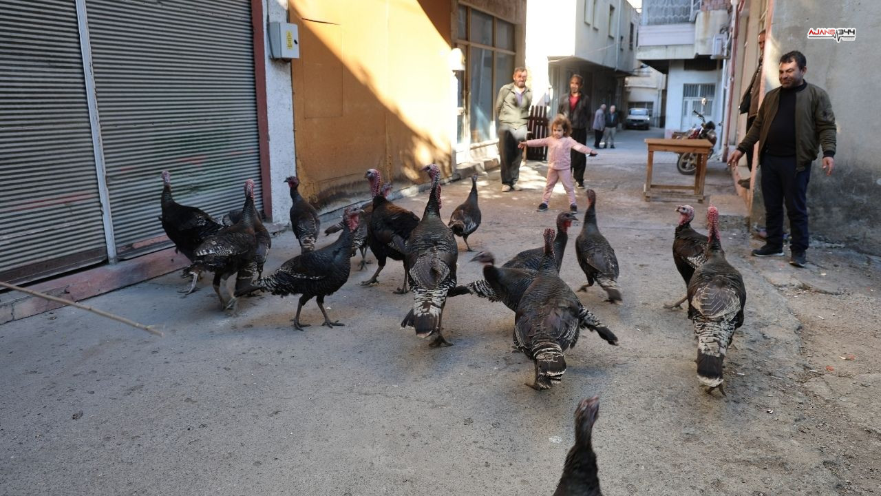 Hindi Satan Adam Ajans344 (1)