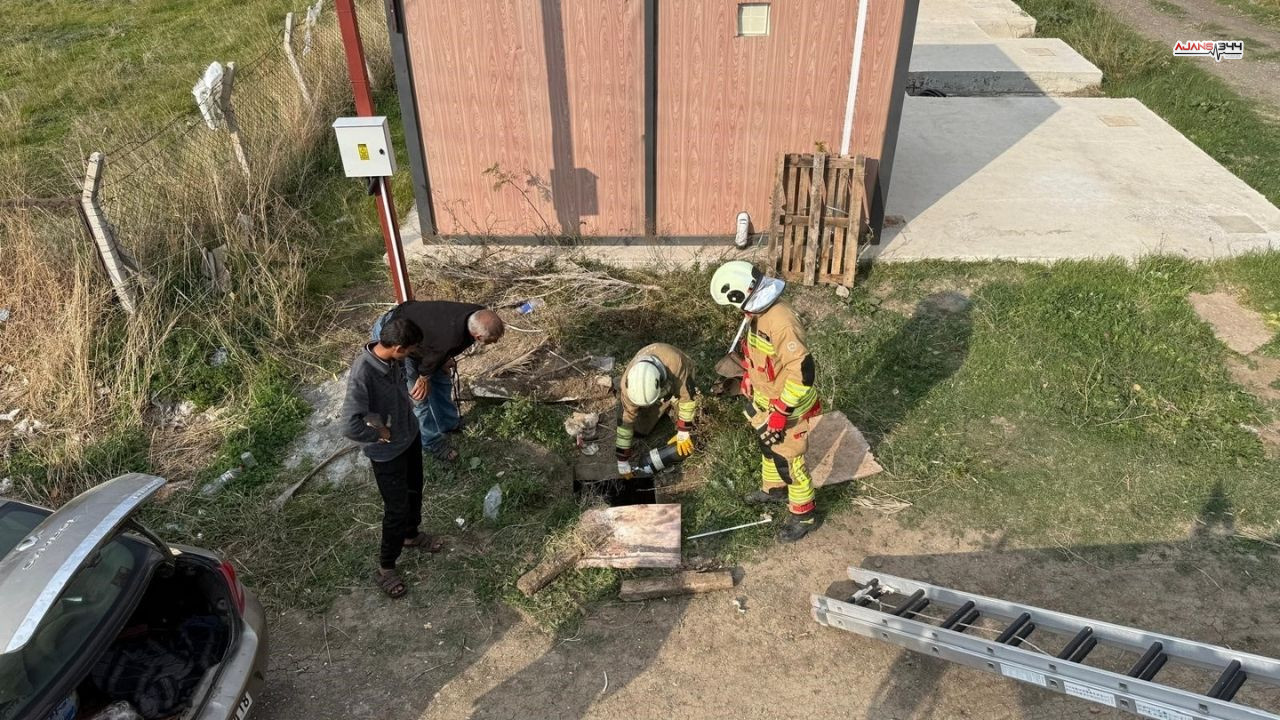 Koyun Kurtarıldı Ajans344 (1)