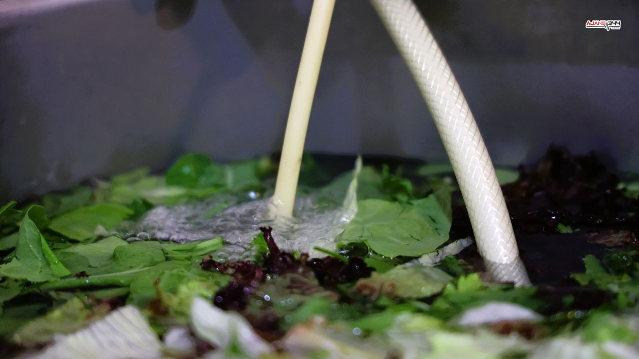 Ozon Teknoloji̇si̇ Ajans344 (2)