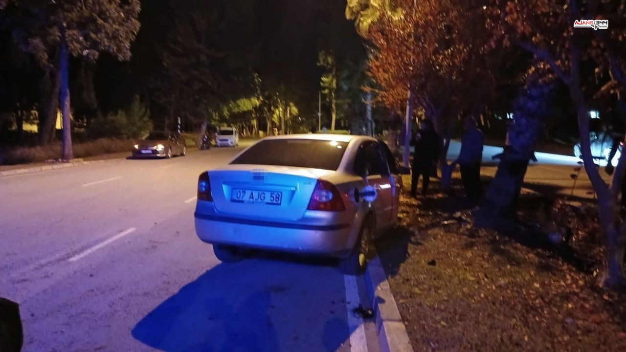 Palmiye Agacına Çarpan Araç Ajans344 (1)