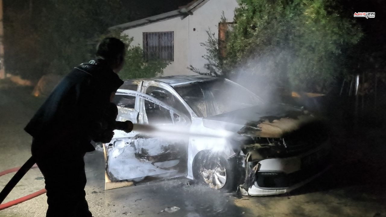 Park Halinde Alev Alan Araç Ajans344